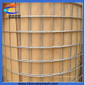 3/4*3/4′′ Hot DIP Galvanized Welded Wire Mesh (CT-4)